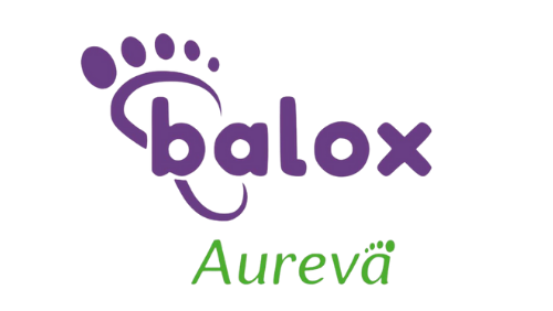 BALOX STORE